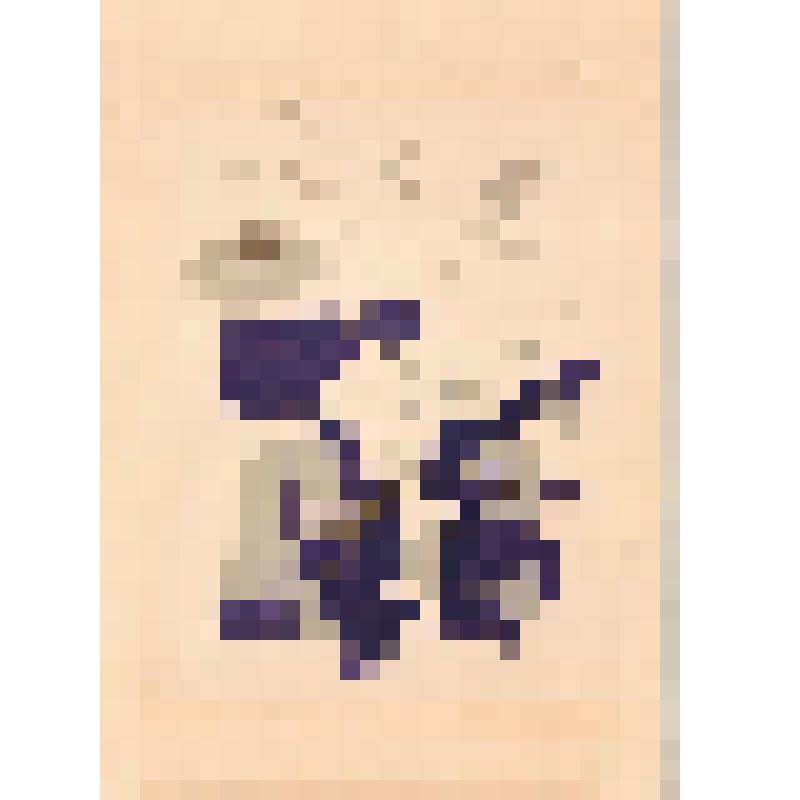 Литография. У ручья. Из серии «Сосны»