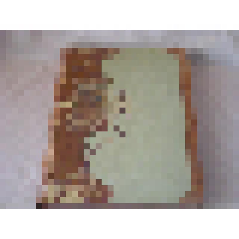 Энциклопедия на немецком языке "Welltall and  menschheit"  - "Вселенная и человечество" Т.4