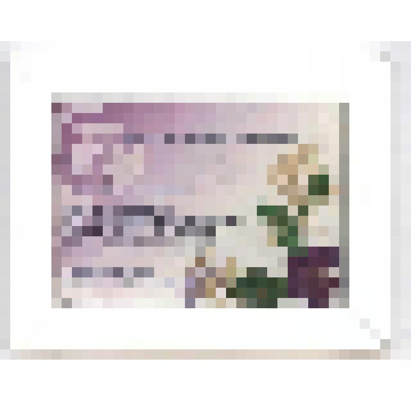 Поздравление Пьянковой С.А. с Международным днем музеев от корпорации «Электронный архив»