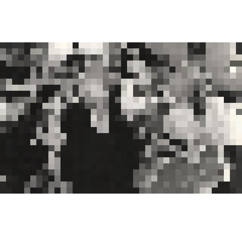 Фотография Ел.Ф.Гнесиной с тремя девочками в карнавальных костюмах. 25.01.1964 г