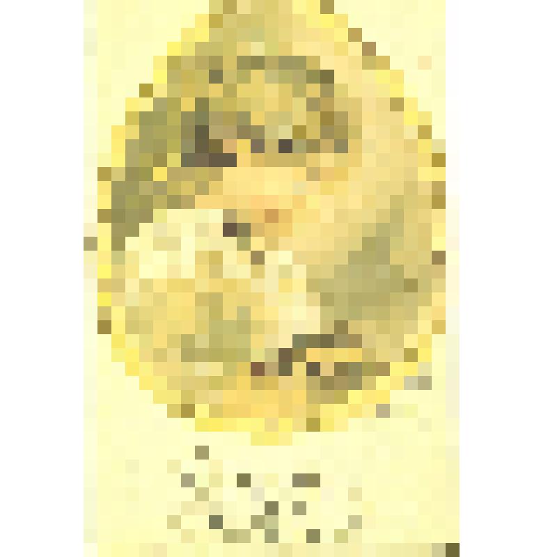 Комплект открыток, Со святым праздником!