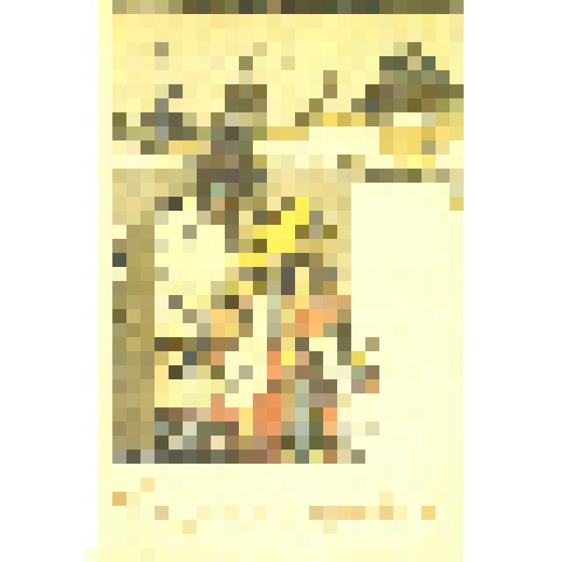 Комплект открыток, Со святым праздником!