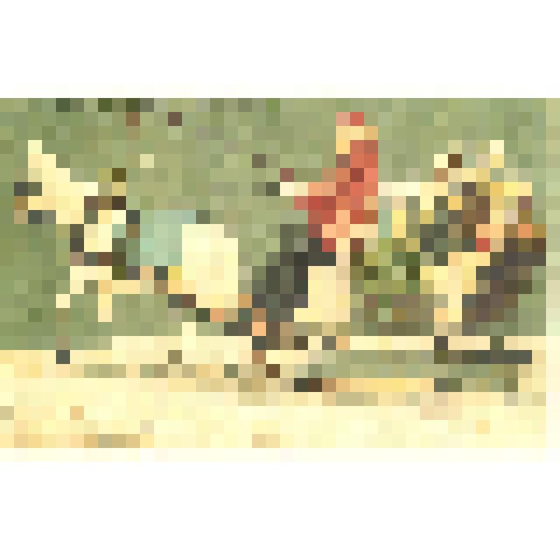 Комплект открыток, Со святым праздником!