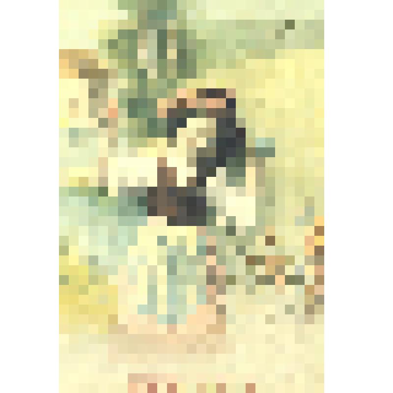 Комплект открыток, Со святым праздником!