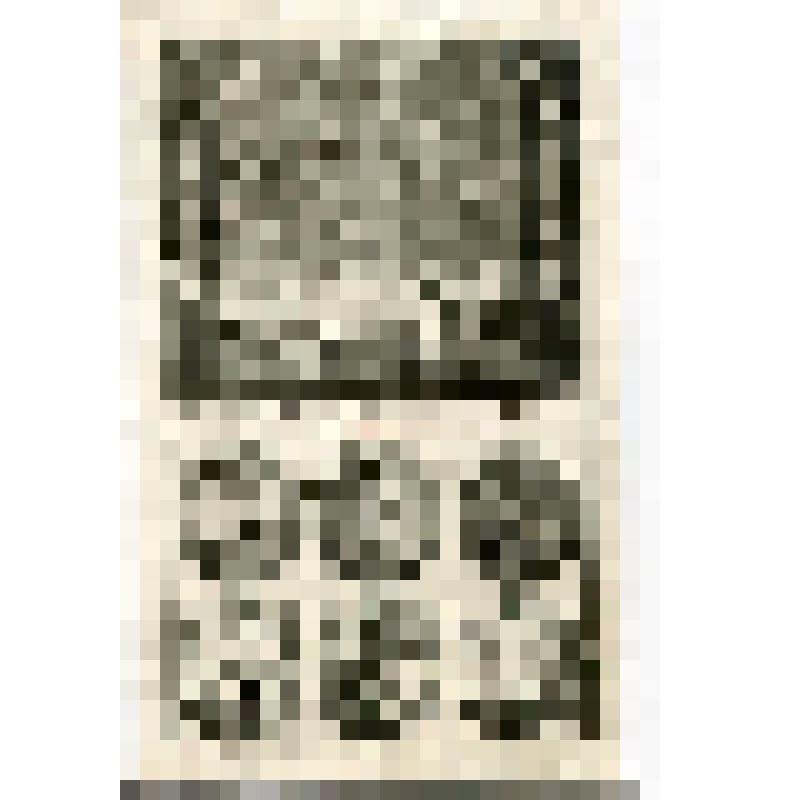 Офорт. Лист 149. Евангелист Матфей. Рождество Христово Волхвы с востока. Бегство в Египет. Избиение Вифлеемских младенцев. Крещение Иисуса (Мф. 1-3)