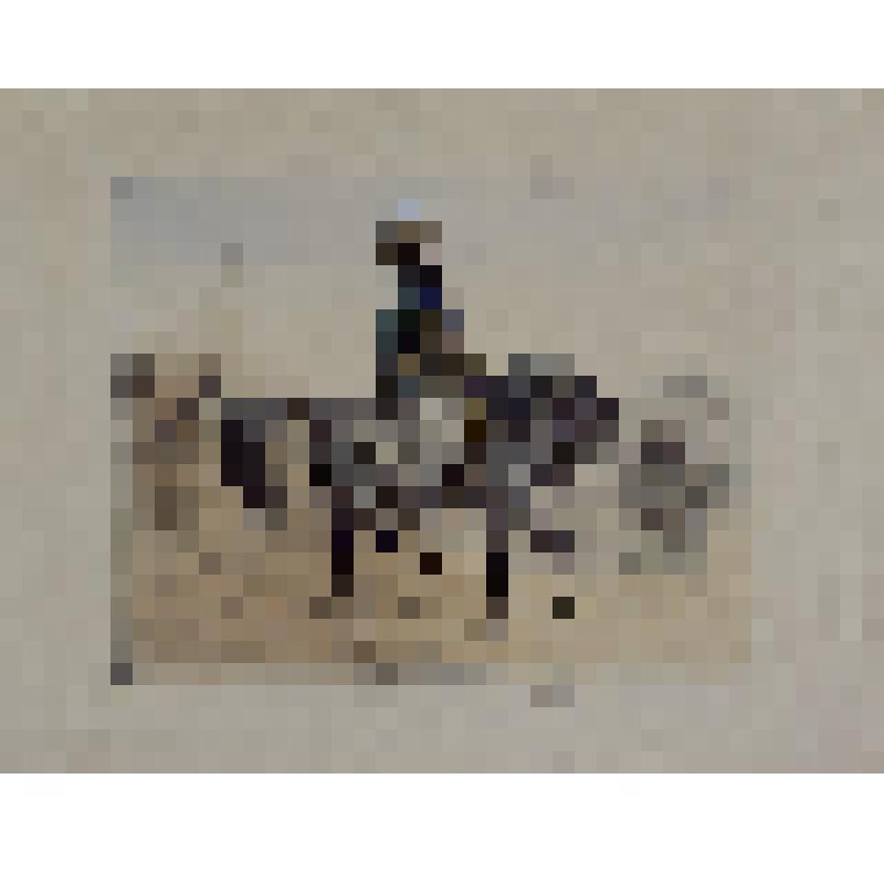 Графика. Екатерина II, Императрица из России