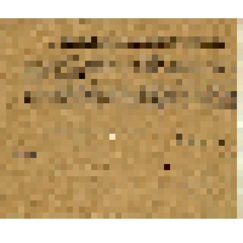 Забастовка рабочих типографии "Труженик" в Новгороде