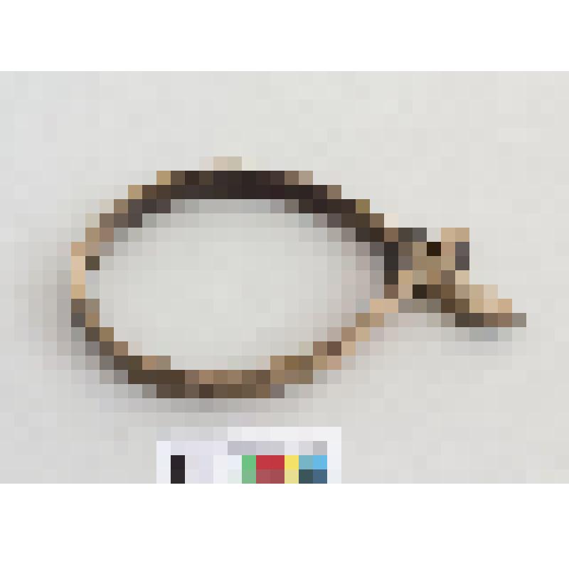 Ошейник для оленя