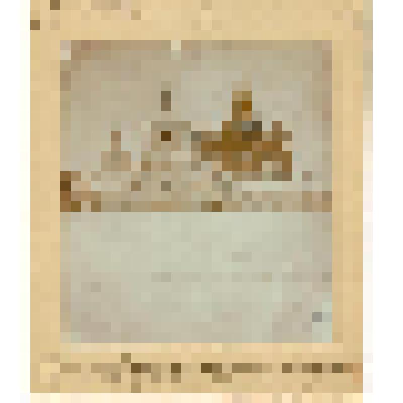 Фотография. Николаевский мужской заштатный монастырь в г. Петровске. Саратовская губ