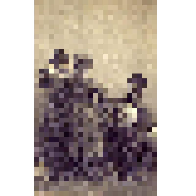 Фотоотпечаток. Мальчики, продающие корзины. Русские