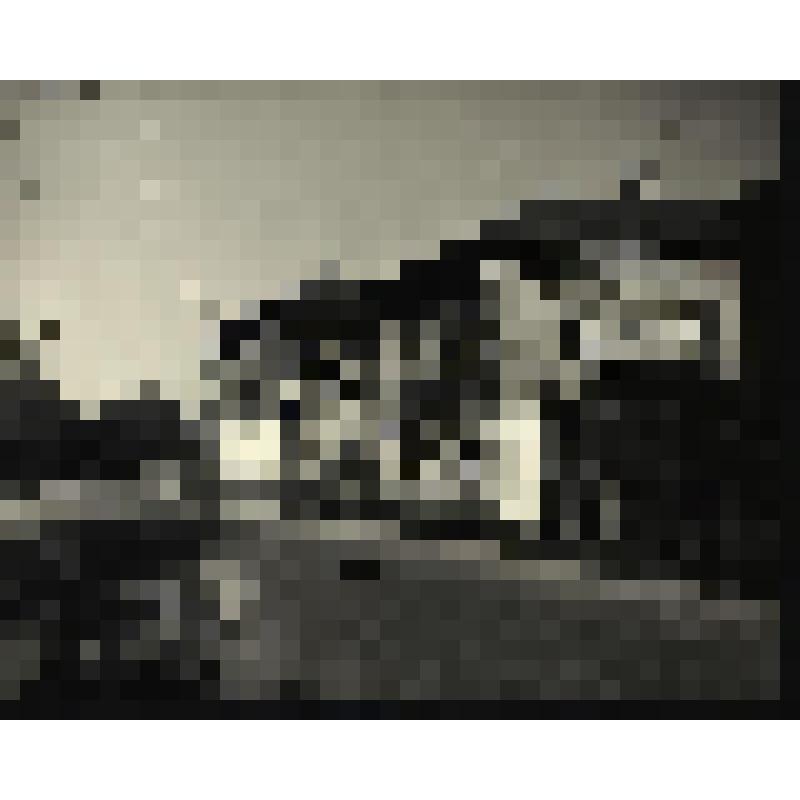 Фотография. Город Касимов