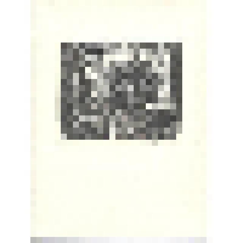 Офорт. Мойка, 12