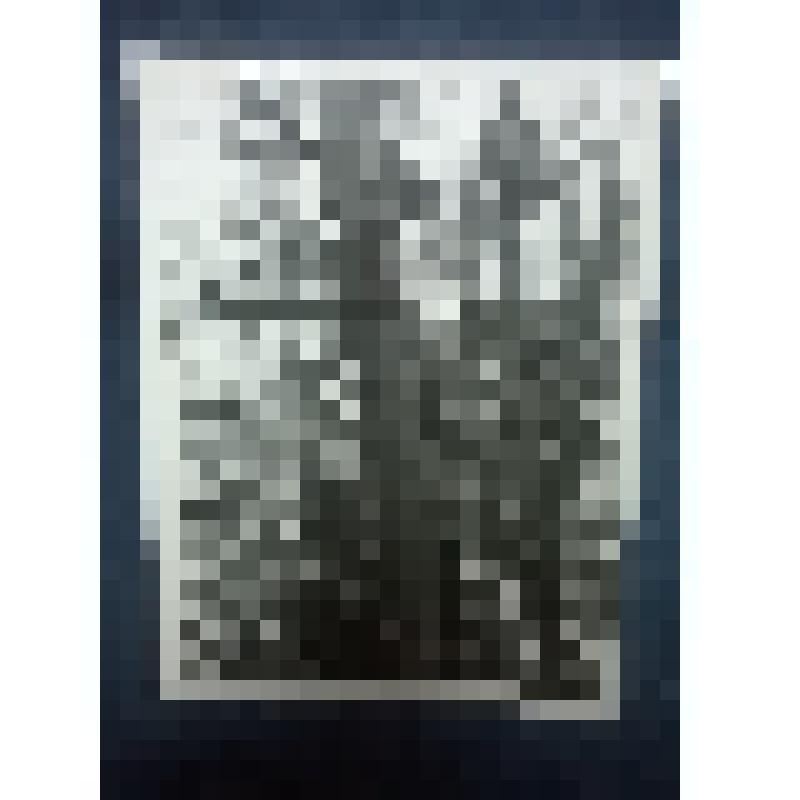 Фото. Береза обвитая древогубцем. Дендрариум БЛХИ