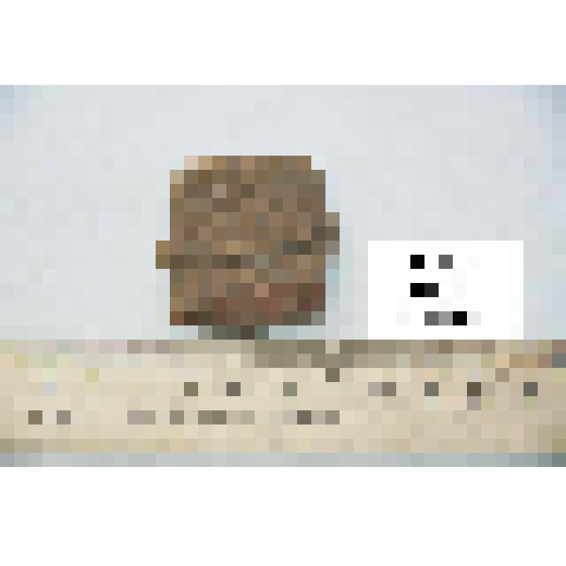 Фрагмент стенки сосуда