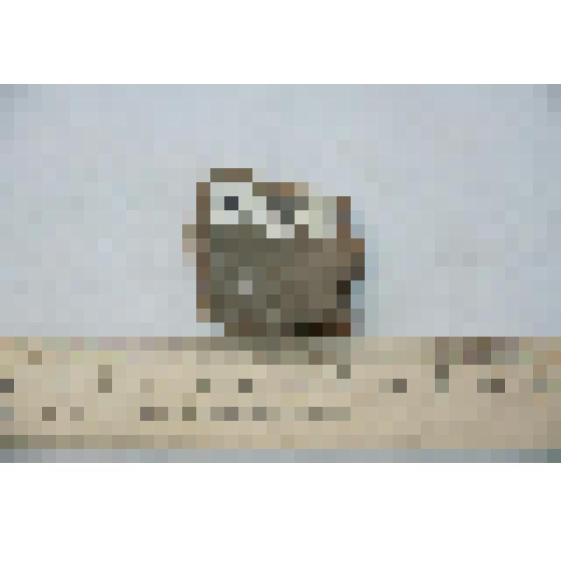 Фрагмент стенки сосуда