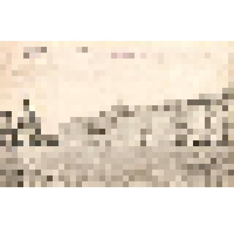 Открытка «Кремль. Сенат. г. Москва»