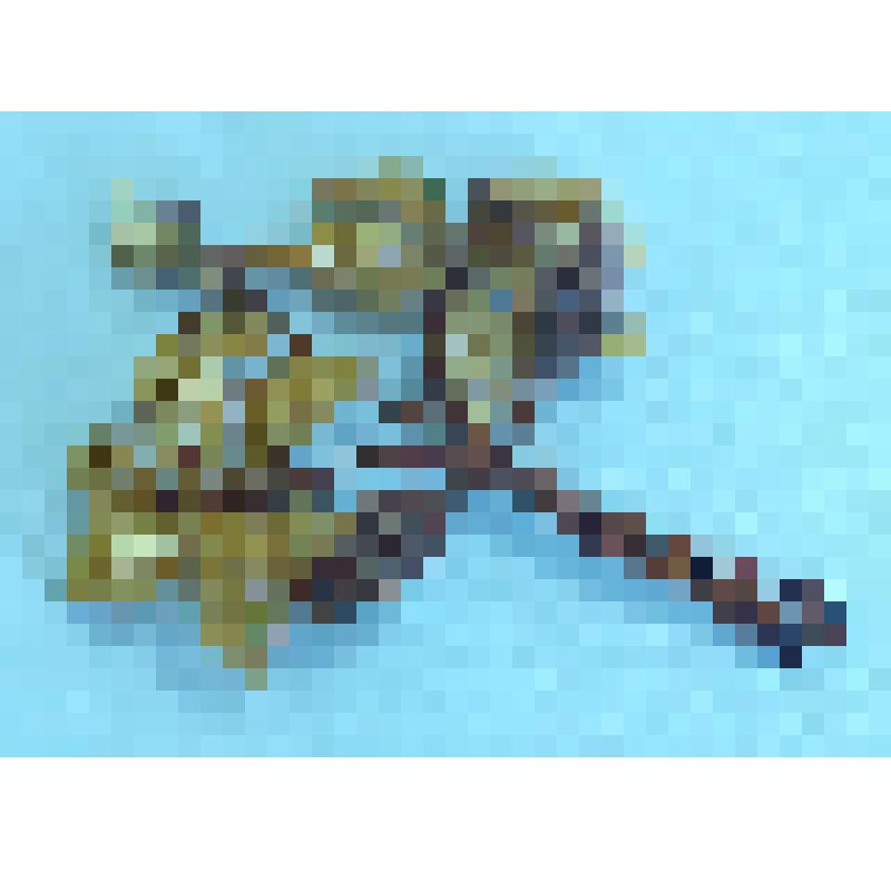 Цветы искусственные "Лилии" бежево-коричневые из бисера, из коллекции бытовых вещей семьи Майоровых