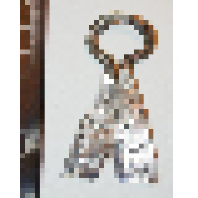 Сюльгама лопастная