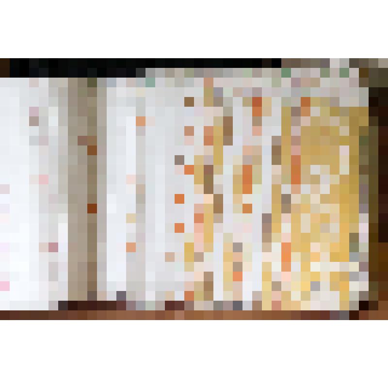 Образец ситца набивного, в альбоме