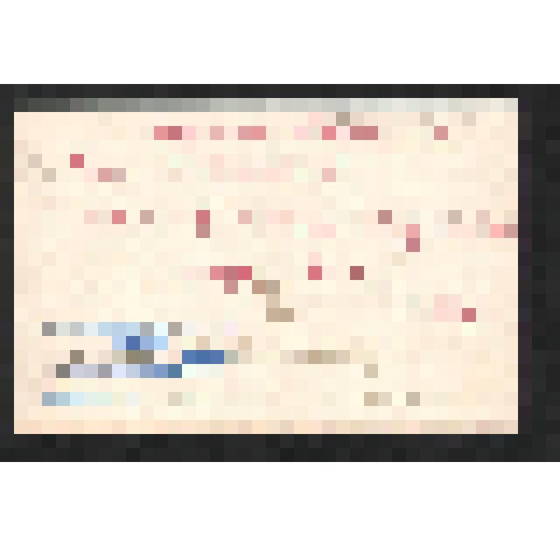 Поздравление Нины (?) Богомоловой З.А. с днём 8 Марта