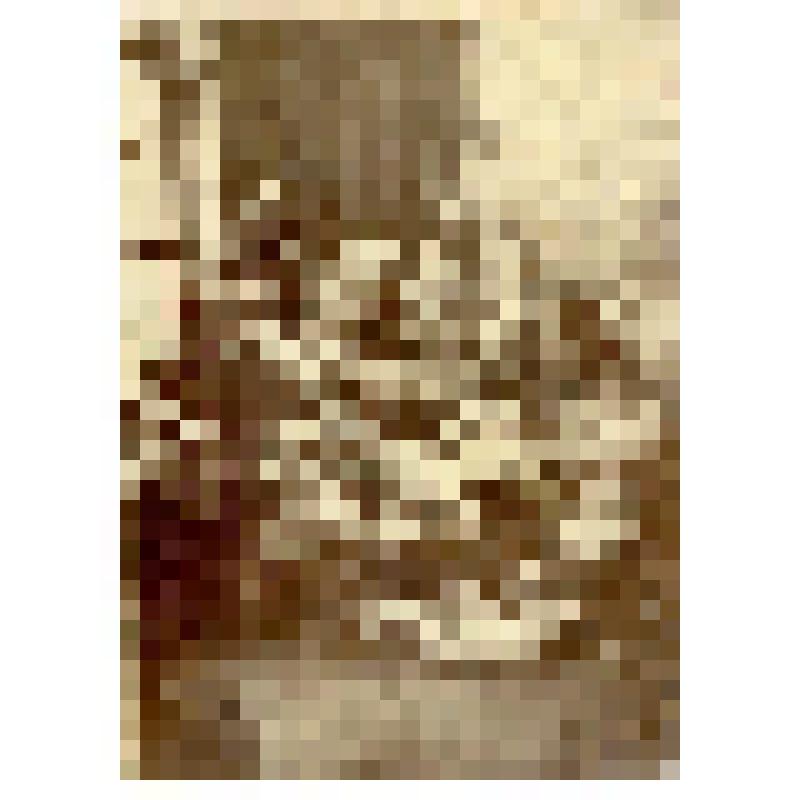 Фотография. Участники экспедиции Э.В. Толля ( со слов М.И. Валя)