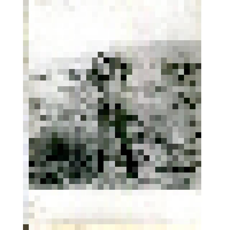 Сержант Клименко Игорь Иванович, командир экипажа БТР-50ПУ