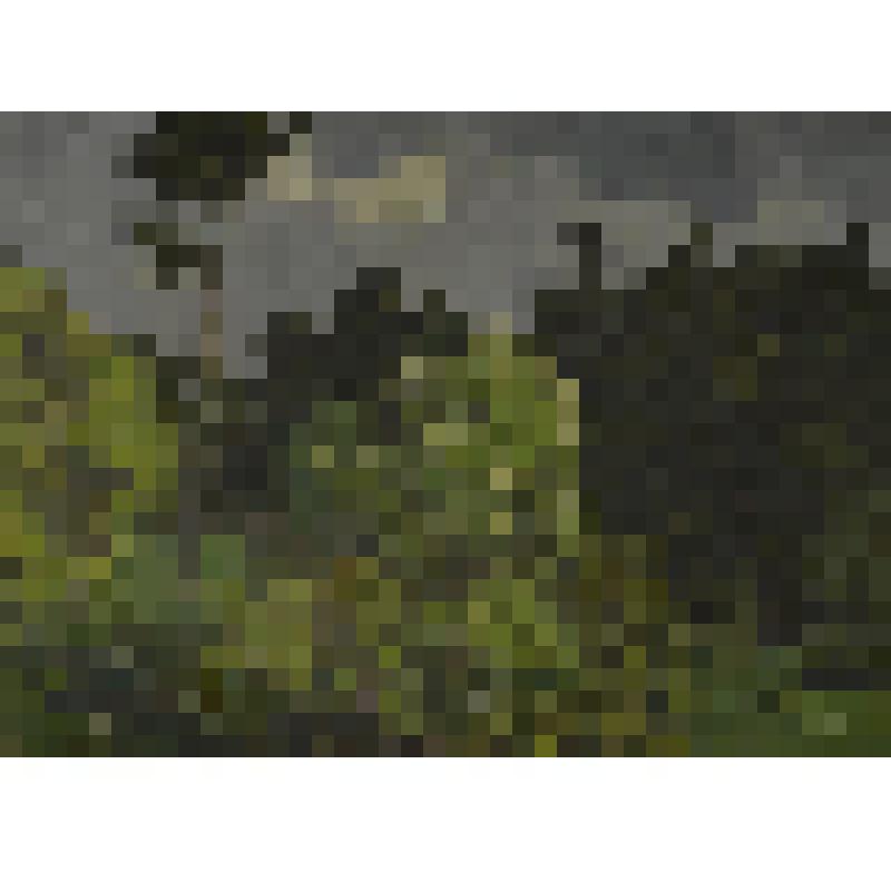 Приближение грозы