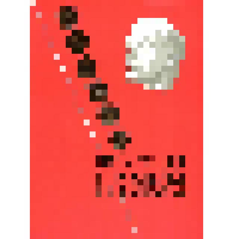 Почетная грамота Безносовой Анны Григорьевны, за большую работу по коммунистическому воспитанию подрастающего поколения, награжденной Центральным Комитетом ВЛКСМ, Москва 20 ноября 1985 г