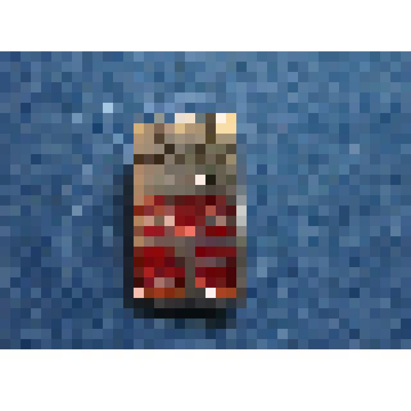 Значок. Сыктывкар - Москва. 1946