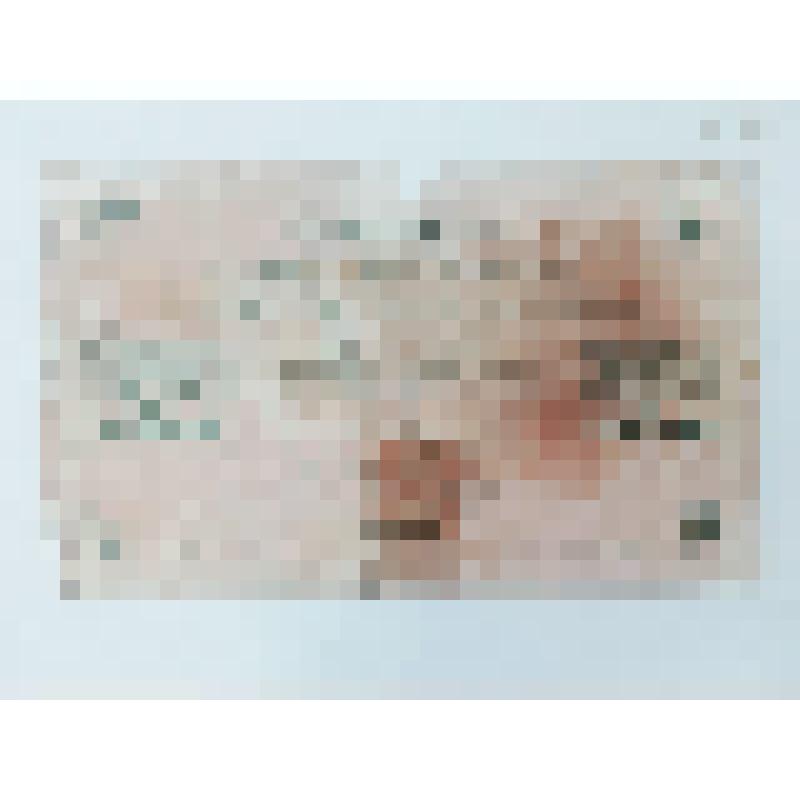 Государсвенный кредитный билет 250 рублей