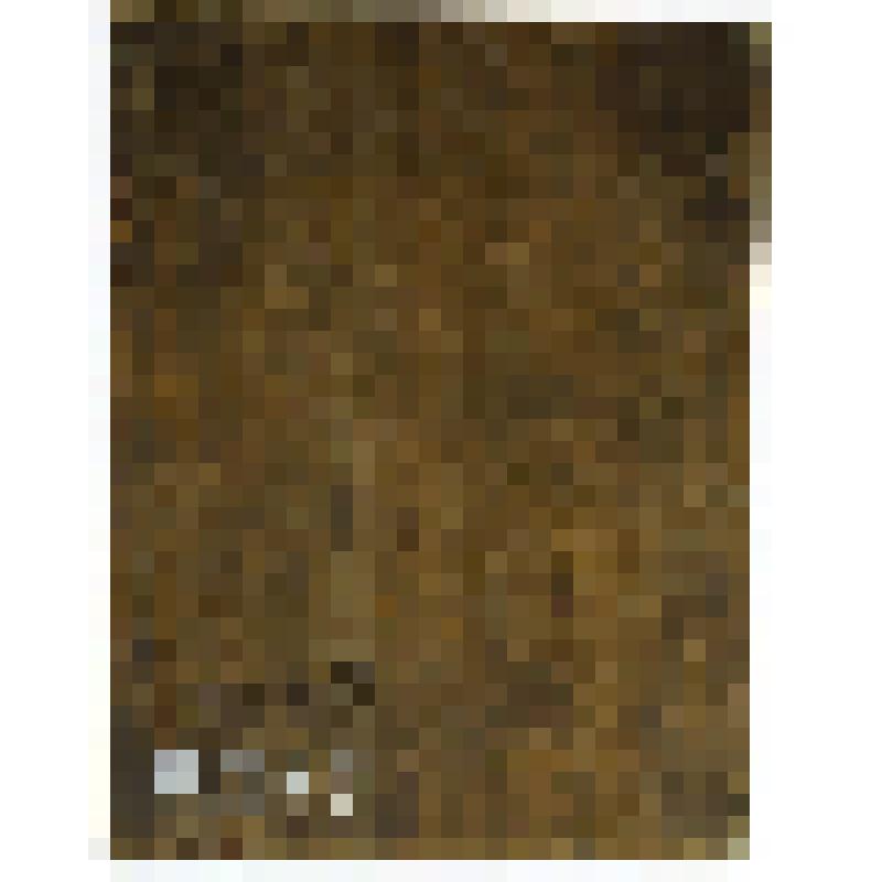 Три святых. Икона