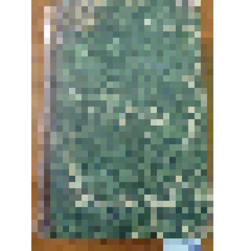 Книга. "Географические очерки и картины". Составлено по Грубе, и другим источникам. Выпуск пятый