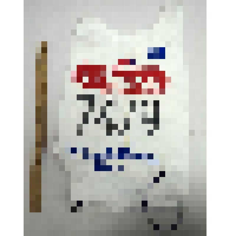 Номер стартовый 7479 FINLANDIA HIIHTO Лобынцева Николая Яковлевича