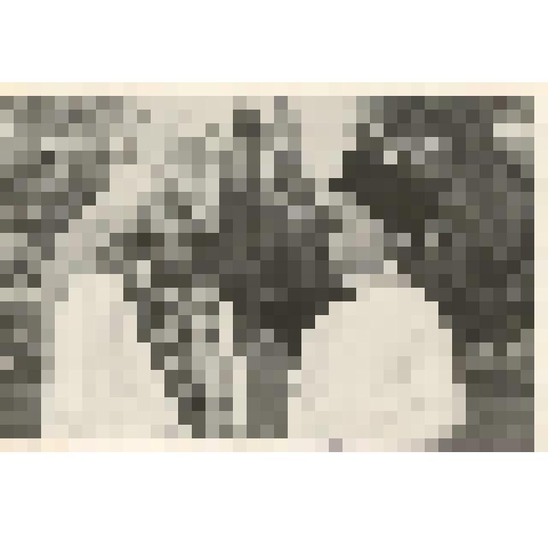 Фотография. Херуц-Баев А. и неустановленное лицо (танцовщица Казачьего ансамбля)
 (

























































































































)