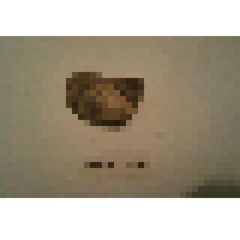 горная порода. Вулканическая брекчия