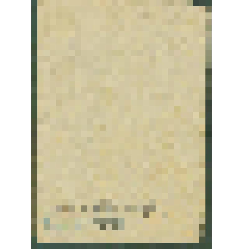 Красноармейская книжка красноармейца Сильничего Николая Евстратовича, участника Курской битвы, санитара 213 СД 585 СП