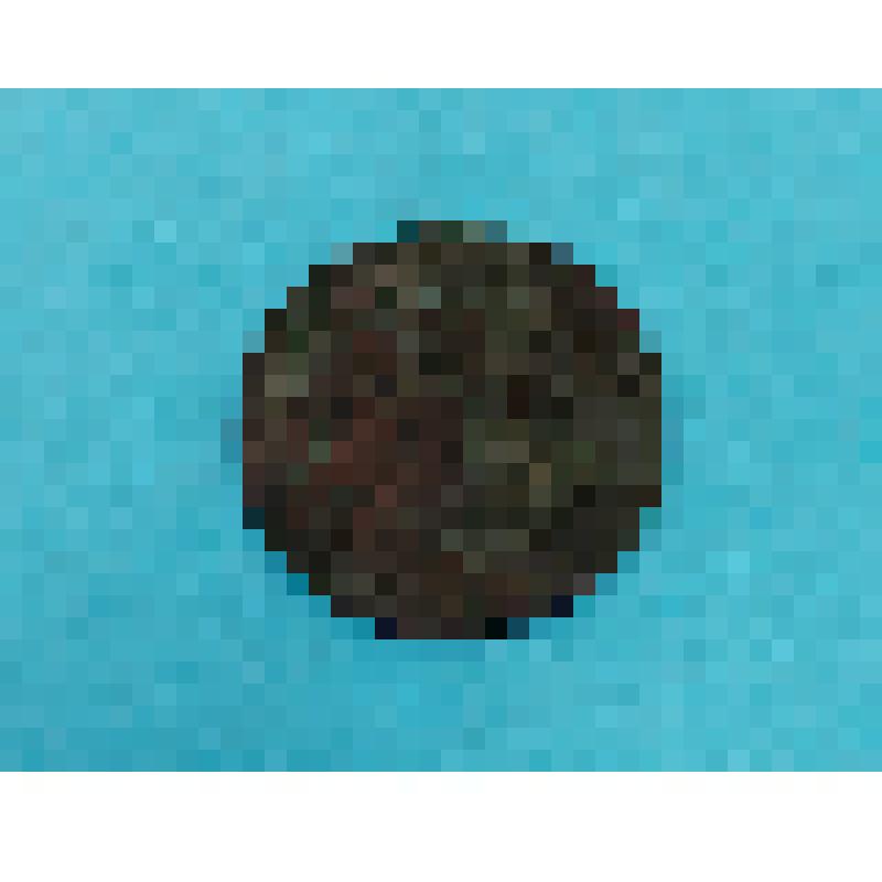 Монета "1 копейка 1904 г."