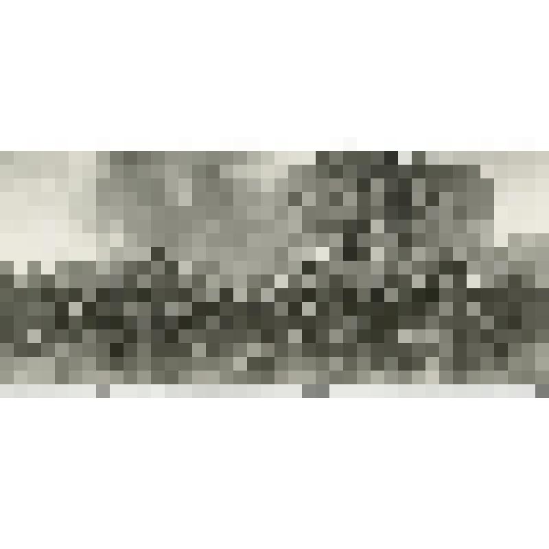 Фотография. Сталинград. Завод "Баррикады". Дивизия Горишного