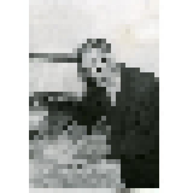 Народный поэт Уз ССР Абаз Дабылов