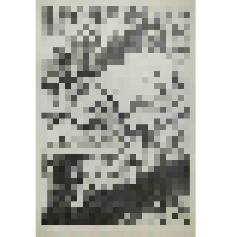 Иллюстрация к книге Я.Гашека "Похождения бравого солдата Швейка". "Выполнение служебного долга"