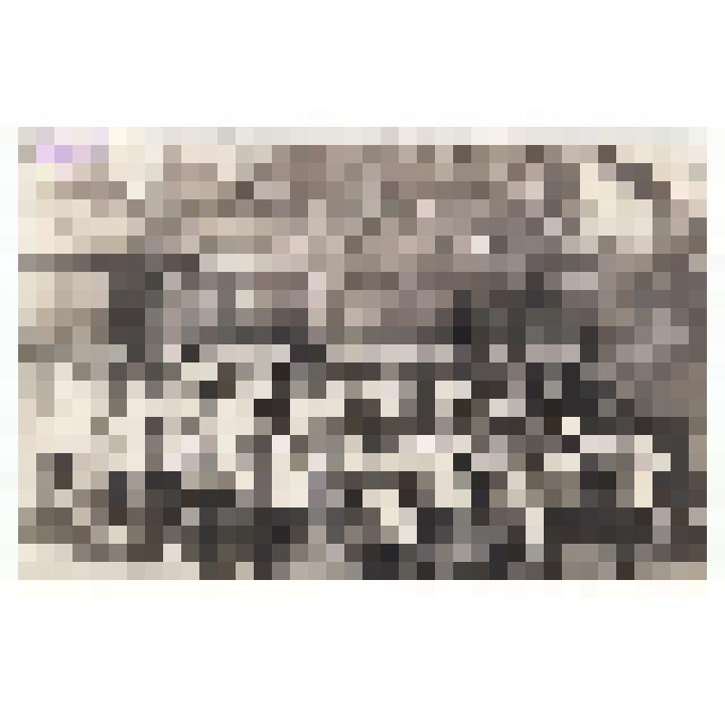 Ф/чб. Детский сад завода "Коммунист" г. Марксштадт. Дети на утренней зарядке. АССР НП. 1937