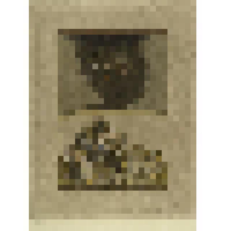 Сказки 1001 ночи. Сказка о купце и духе, гравюра