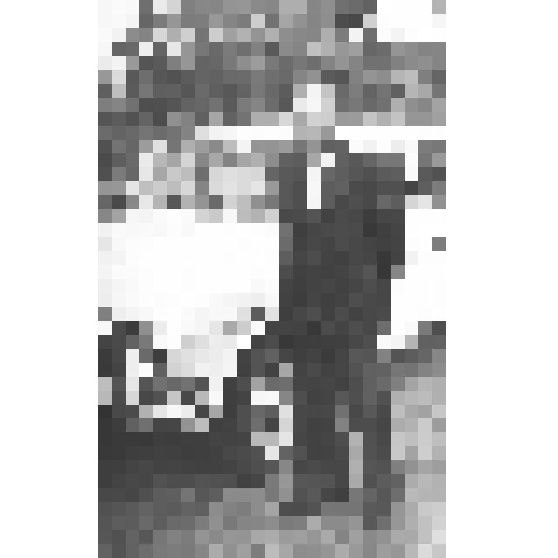 Фотопортрет Брижана Дмитрия Афанасьевича (1928 года рождения),