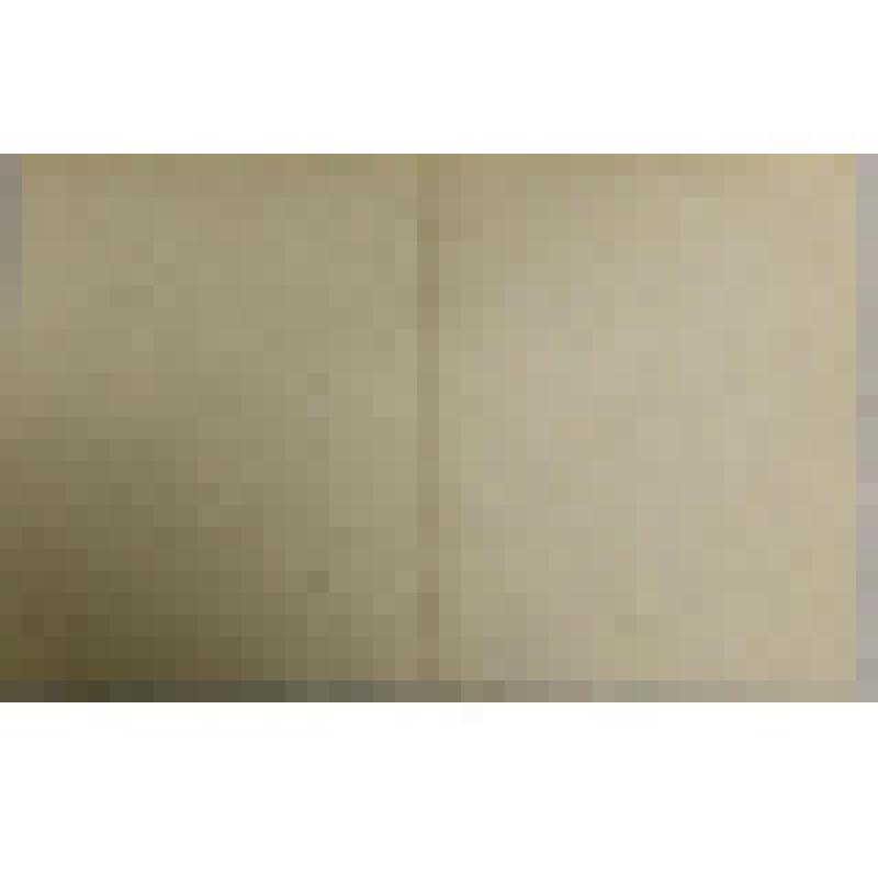 Записка, адресованная М. Владимирским Алексею Петровичу (Грибушину)  29 января 1867 г., с просьбой прислать ему "муки ржаной куль"