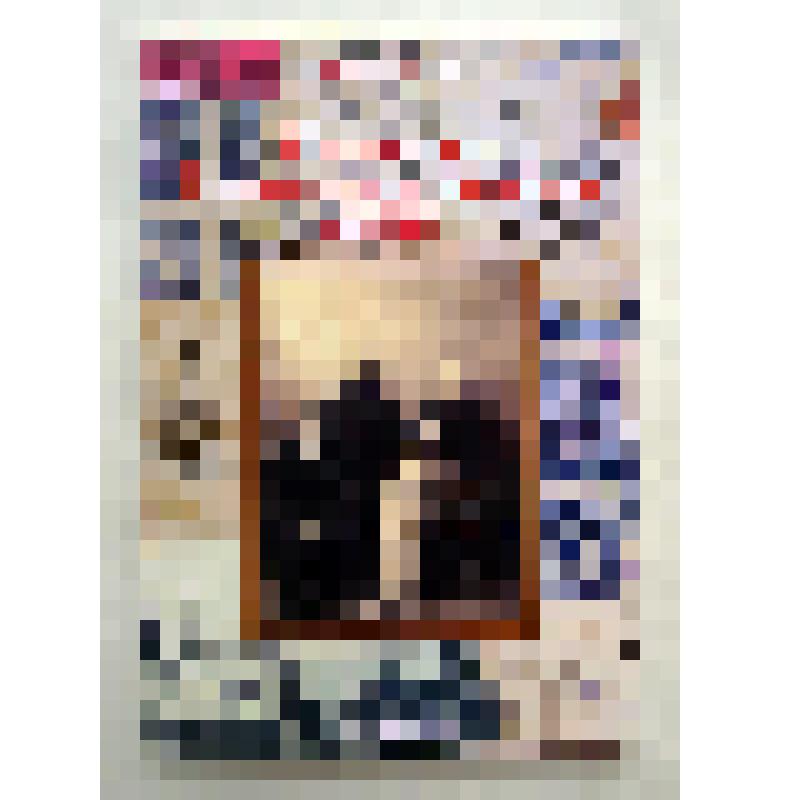 Книга. Коллекция Соликамских земских марок (1887-1915 гг). – Соликамск, 2015