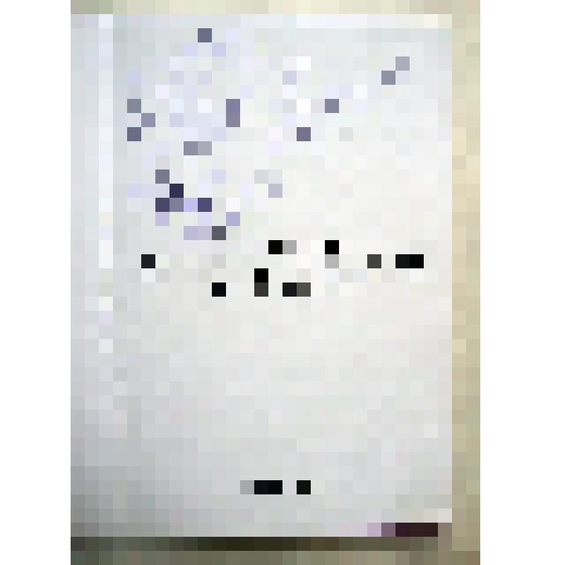 Книга. Коллекция Соликамских земских марок (1887-1915 гг). – Соликамск, 2015