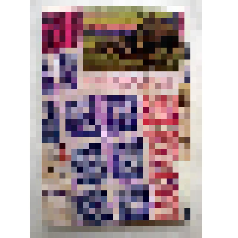 Книга. Коллекция Соликамских земских марок (1887-1915 гг). – Соликамск, 2015