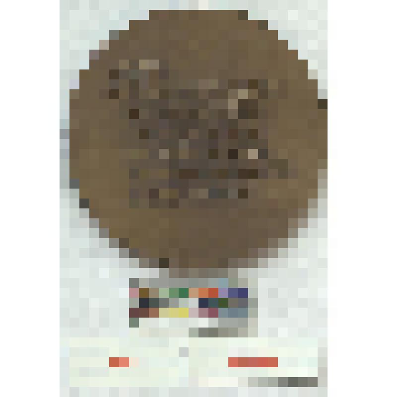 СССР. Медаль. 20 лет освобождения Украины от фашистских оккупантов