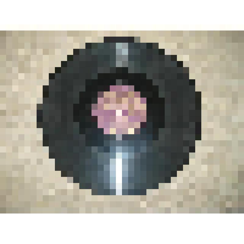 Пластинка "Риголетто"