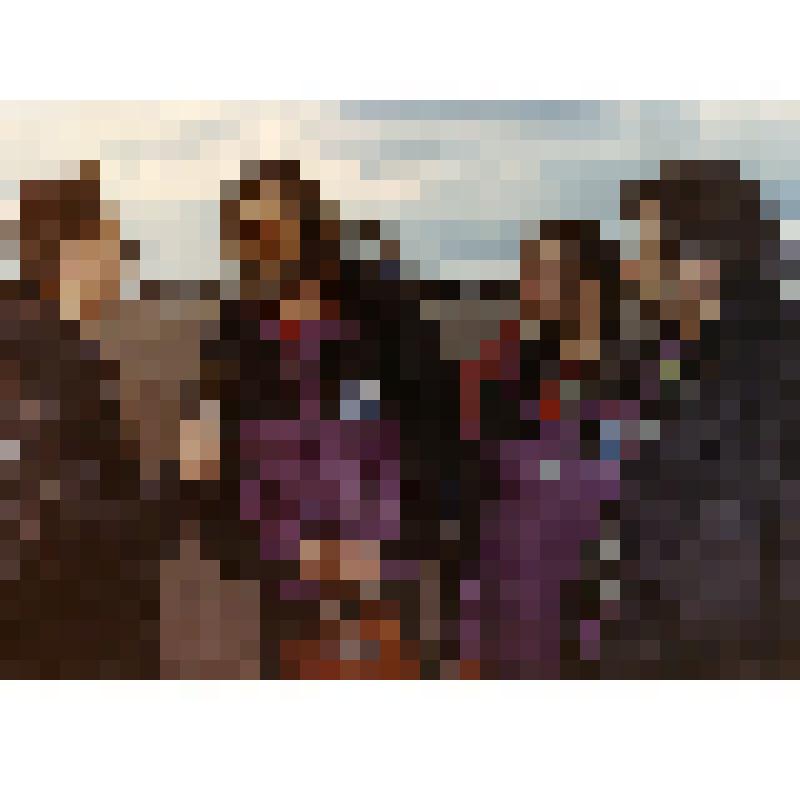 Фотография цв. Встреча полярников в аэропорту «Внуково»